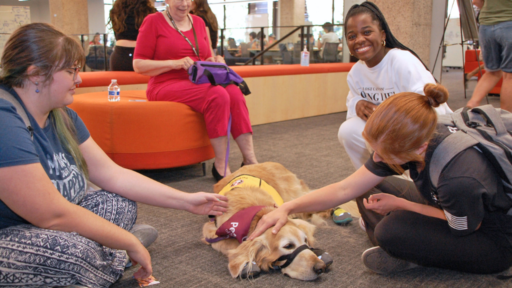 Pause for Paws with therapy pets returns University of Arizona Libraries