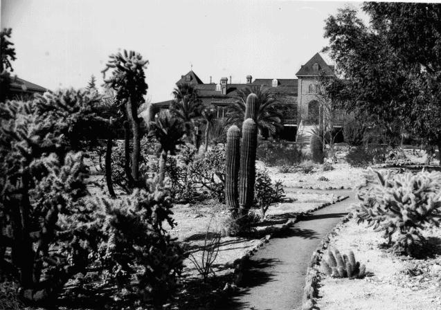 Old Main Cactus Garden