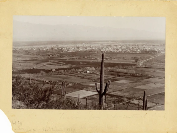 Tucson viewed from Sentinel Peak