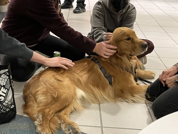 students sitting on floor petting dog