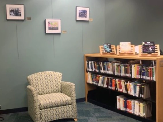 comfortable chair next to a shelf of books