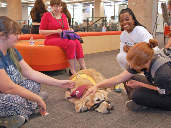 Students pet a therapy dog at Pause for Paws