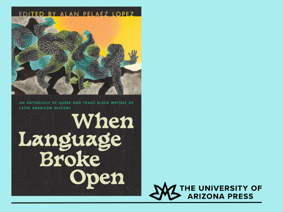When Language Broke Open book cover