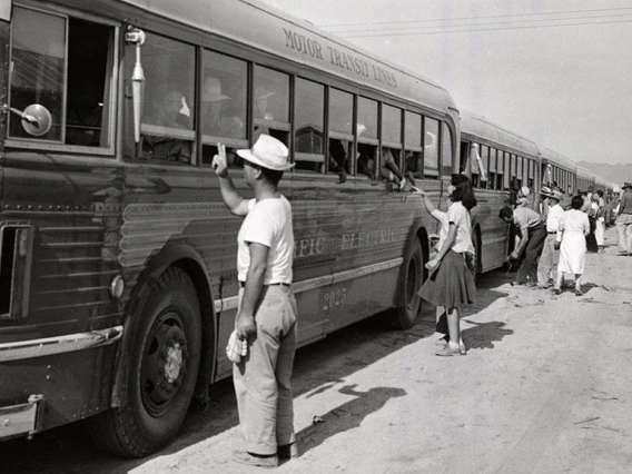 Black and white photo depicting buses carrying evacuees of Japanese ancestry arriving at the Colorado River Relocation Center in Poston, Arizona