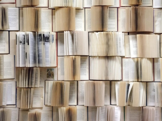 multiple rows of open books