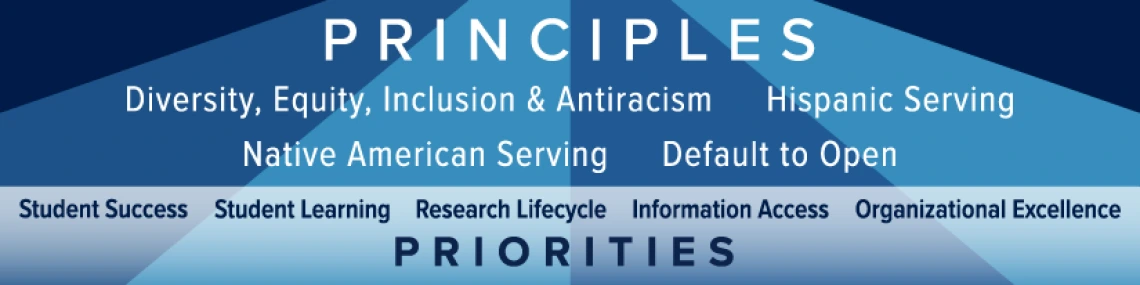 The University of Arizona Libraries guiding principles and strategic priorities that inform our strategic plan.