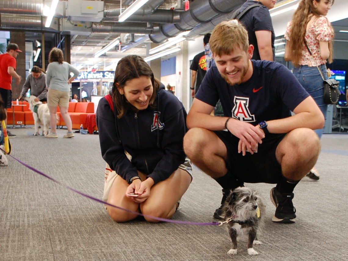 Two students looking at a small therapy dog