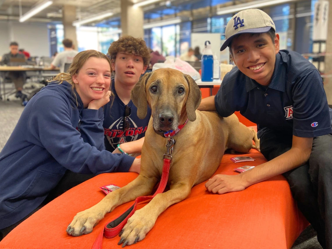 Students petting a therapy dog at Main Library