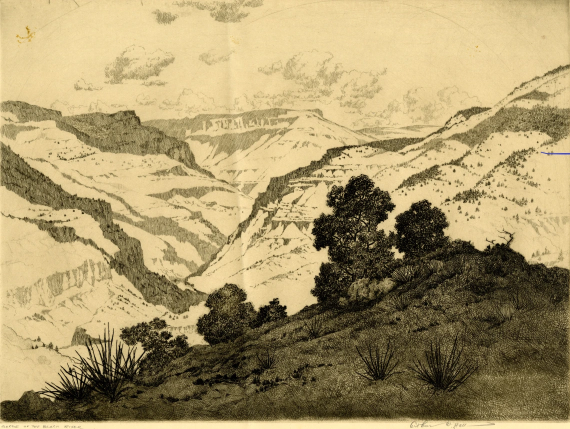 Sepia and black ink etching of the Black River Gorge by Arthur W. Hall.