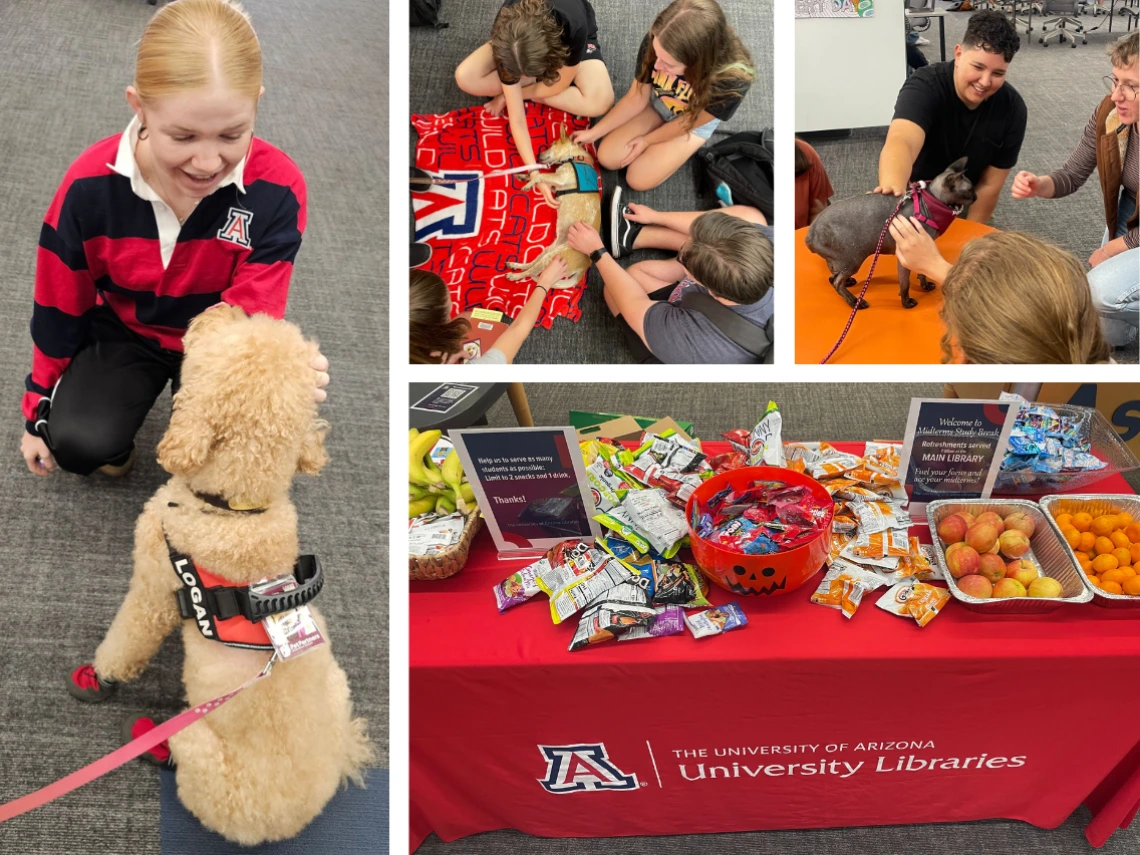 A collage of images of students petting therapy pets at Pause for Paws