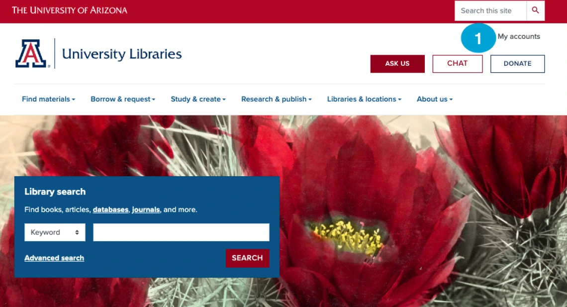 homepage screenshot to log in