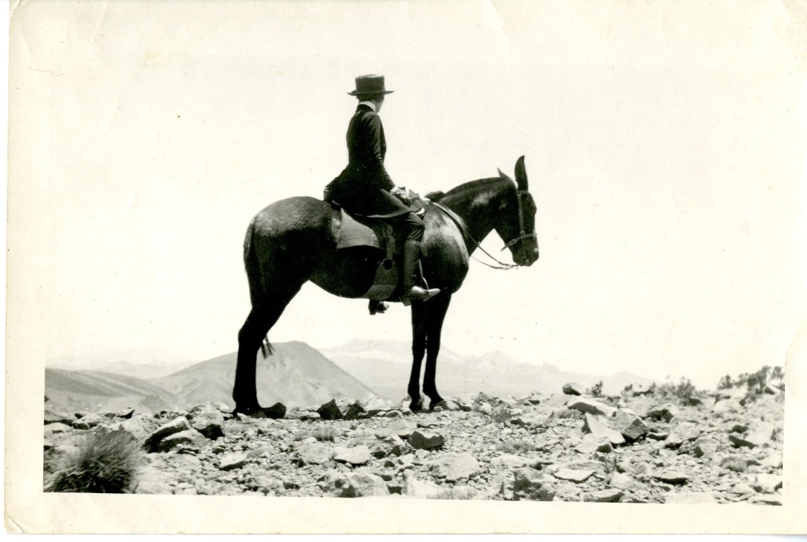 Family Member Riding a Mule