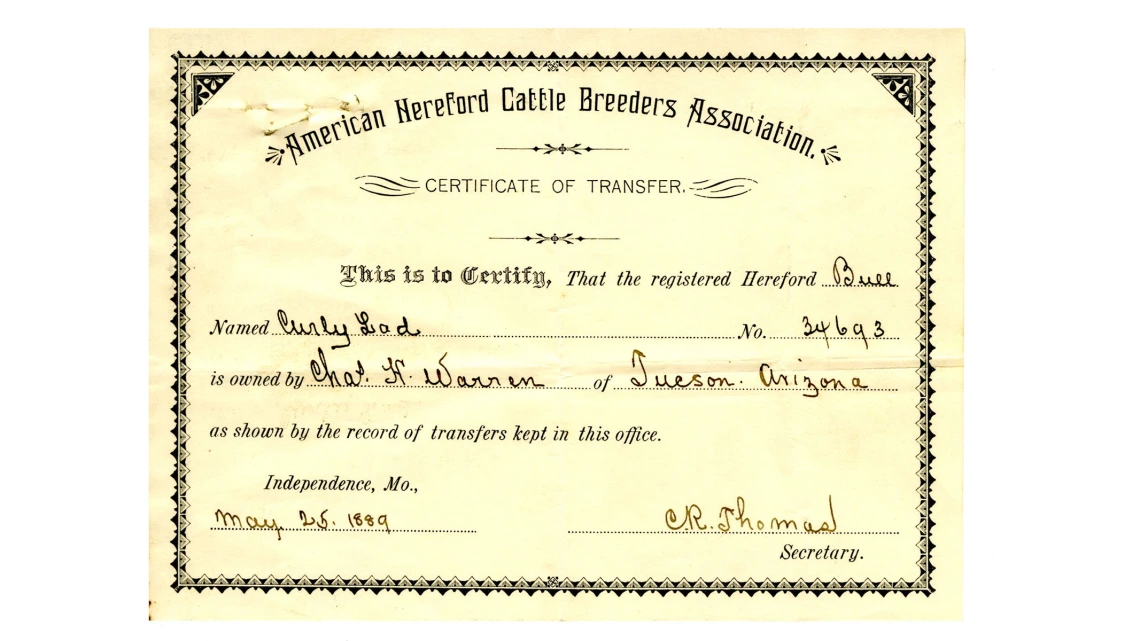 Certificate of Transfer of Cattle Issued to Charles H. Warren, May 25, 1889