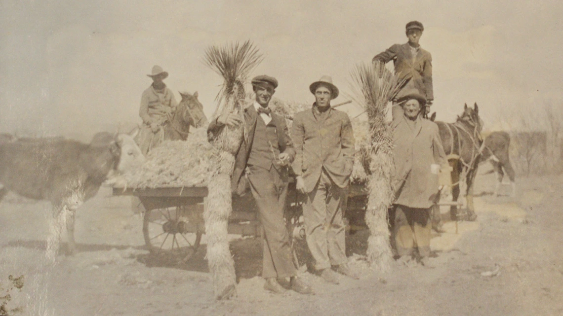 Photograph of Ernest Brooke Stanley and Unidentified Men with Yucca, 1918