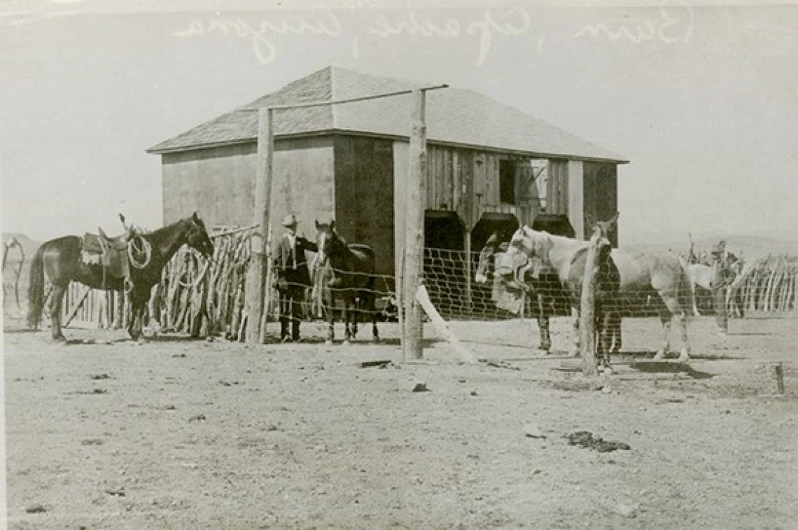 Horses saddled and waiting for riders