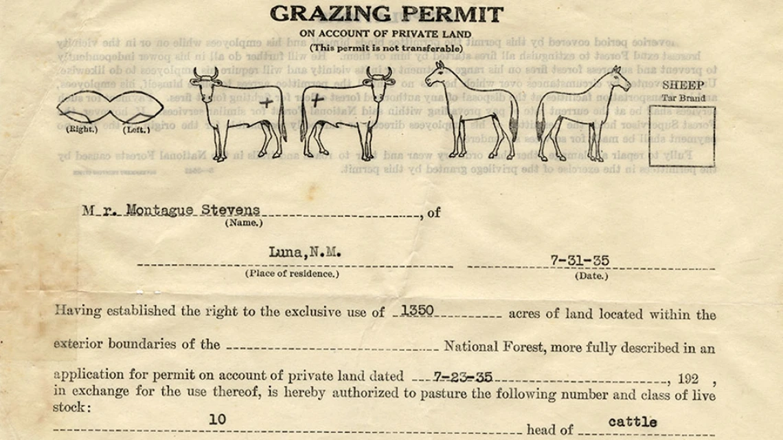 Grazing Permit Issued to Montague Stevens, July 31, 1935