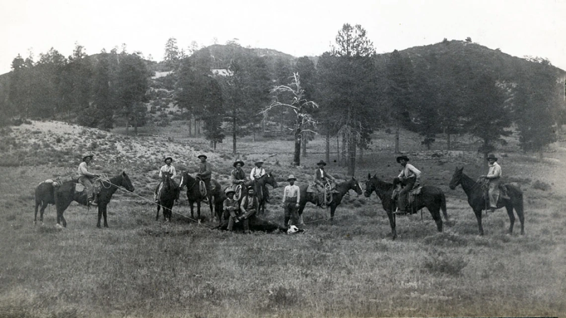 Colorado Cattle Range, Summer 1902