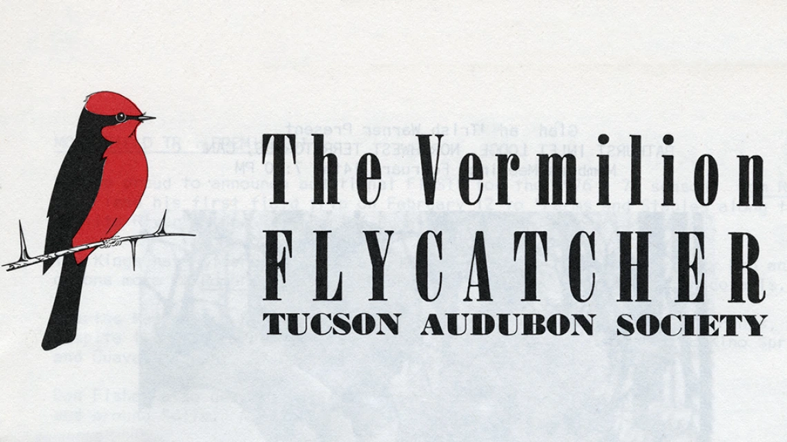 The Vermilion Flycatcher, 1977