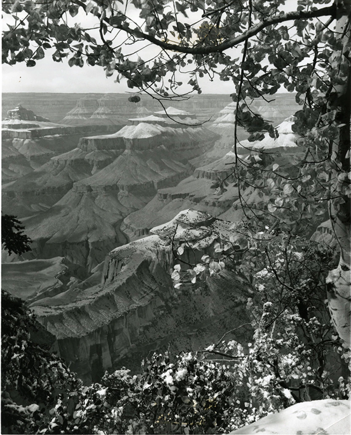 Grand Canyon in Winter