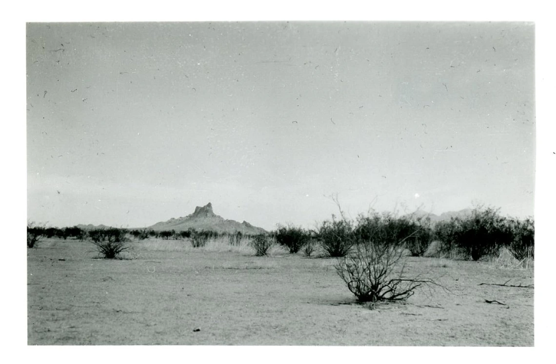 Desert view with Picacho Peak in distance