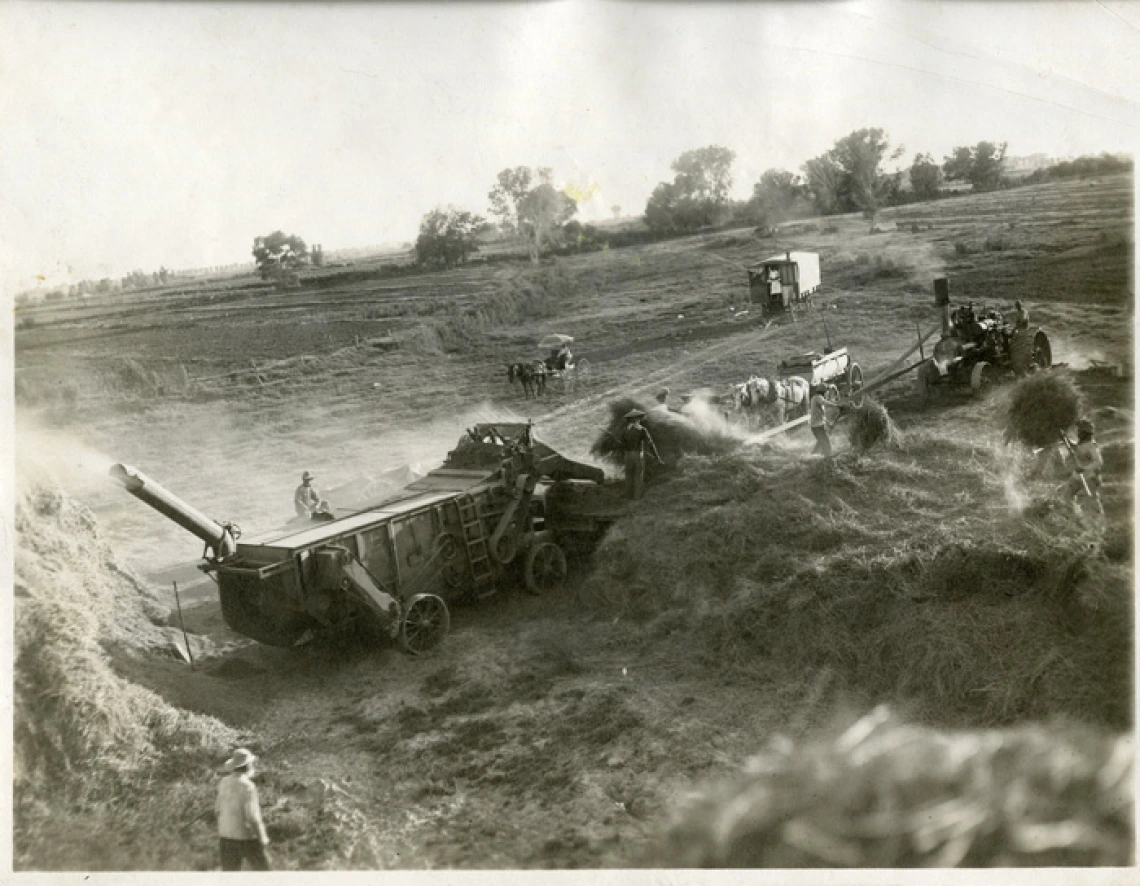 Agricultural Workers Thrashing Hay