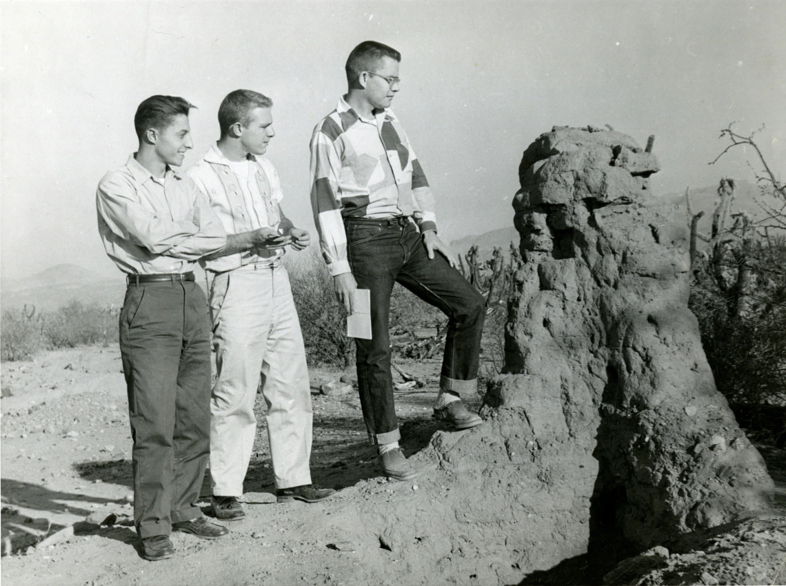 James Rodney Hastings and two fellow researchers gaze at plants in the Arizona desert. 