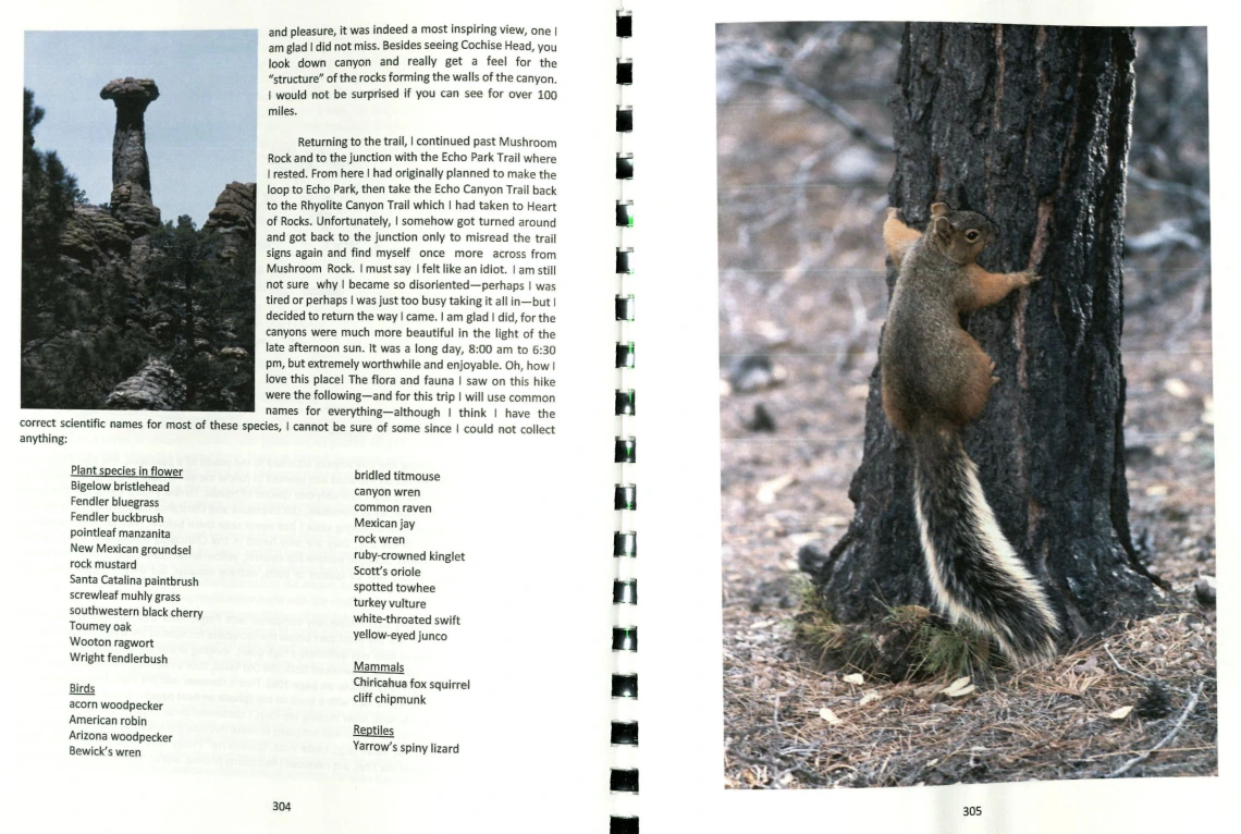 Pages from Bertelsen's publication, "A Heaven in a Wild Flower," color images include a rock formation and a red squirrel perched on a tree trunk.