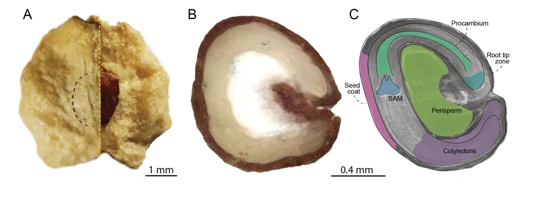 Data Visualization Challenge 2023 entry by Kamila Murawska-Wlodarczyk