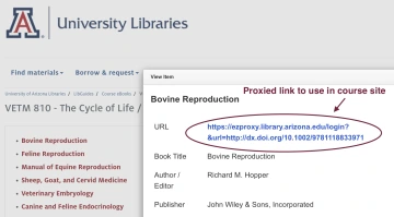 Screenshot of Course Ebooks site showing the proxied link for an ebook