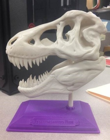 Image of 3D printed dinosaur skull