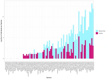 Jazmyn Winzer data visualization