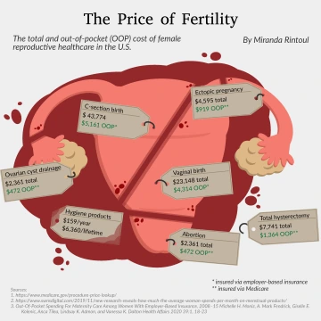 The Price of Fertility visualization