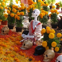 Marigolds and calaveras and El Dia De Los Muertos