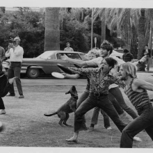 students playing frisbee on the university mall