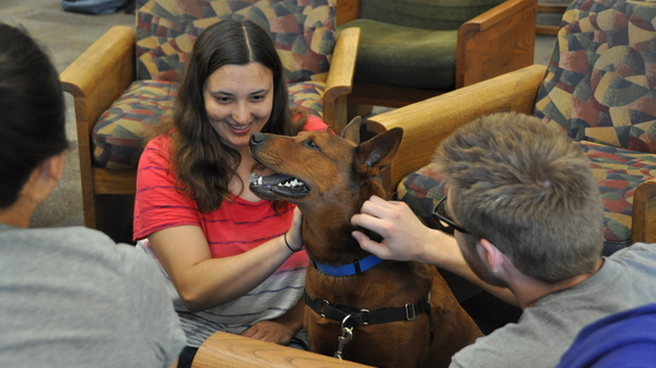 Students and therapy dog