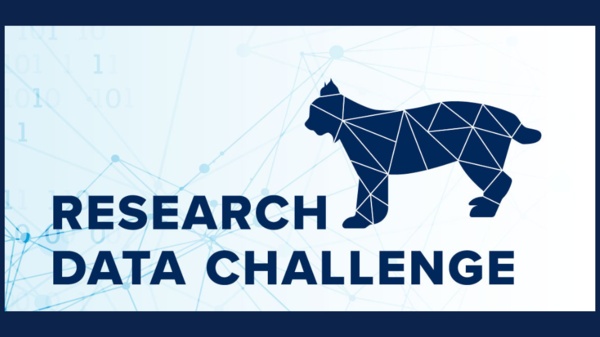 Data Challenge logo