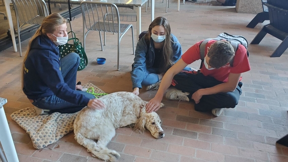 Two students petting a white dog outside the library