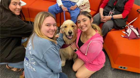 Students take a midterm study break with a therapy dog