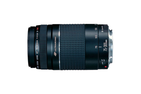 A black, cylindrical DSLR camera lens that has "75-300mm" printed on the barrel. It has a focus ring and a zoom ring. Its height is almost twice of its width and depth.